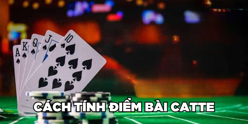 Cách tính điểm bài Catte