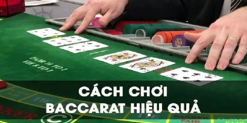 Luật chơi bài Baccarat giúp bạn thành công nhanh chóng