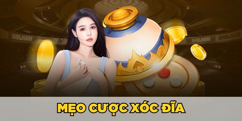 Mẹo cược xóc đĩa